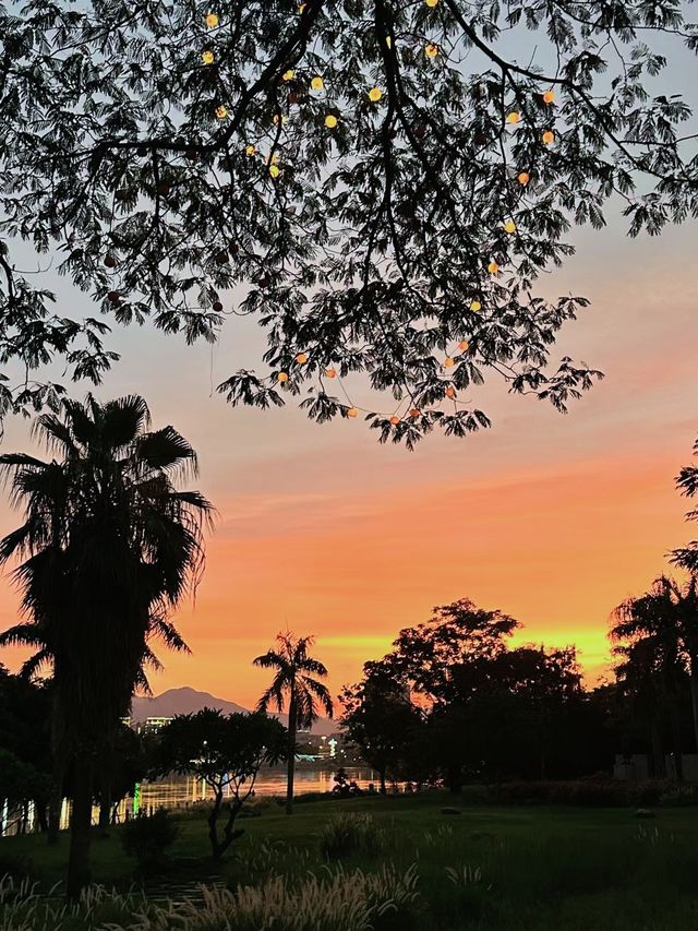 哪個福州人!還沒來過這個公園!!噢原來是我!!