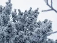 不是四姑娘山去不起，而是龍王山更有性價比