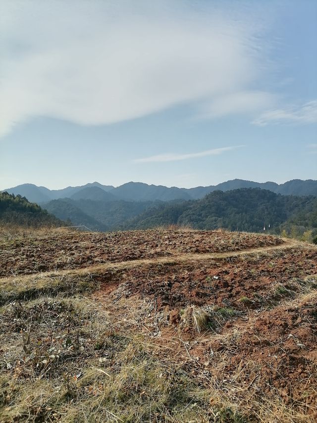 千島湖施家坪古村落｜被遺棄的土房村落丨人少安靜丨免收門票