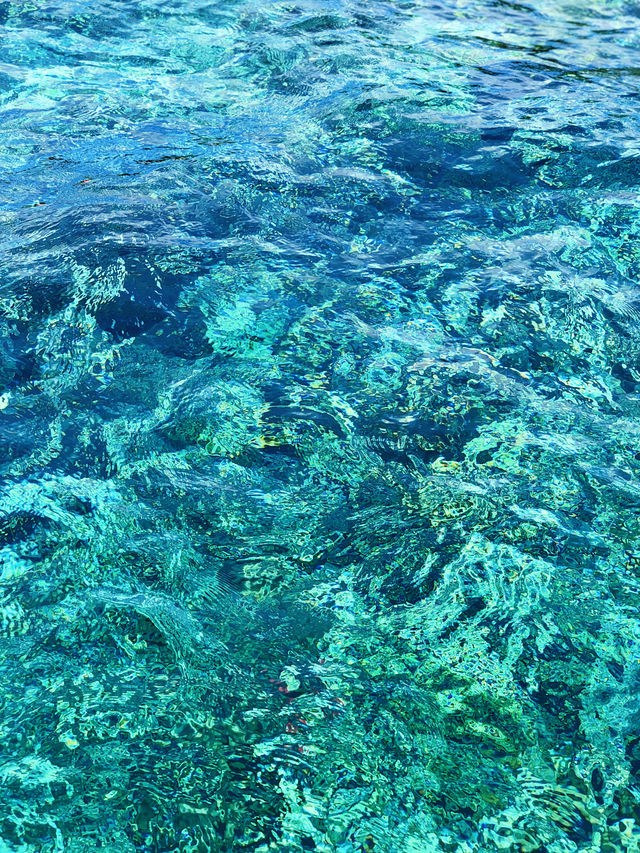 當一天島民｜無意間承包了印尼無人小島