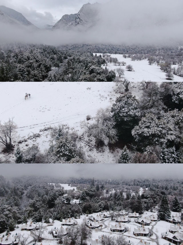 松贊|雪後百巴