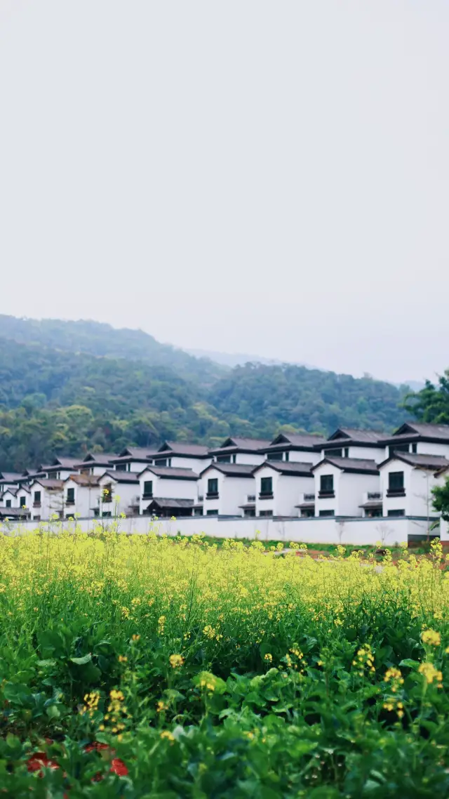 The Ancient Tea Horse Road and the Ancient Tea Horse City are confusingly similar