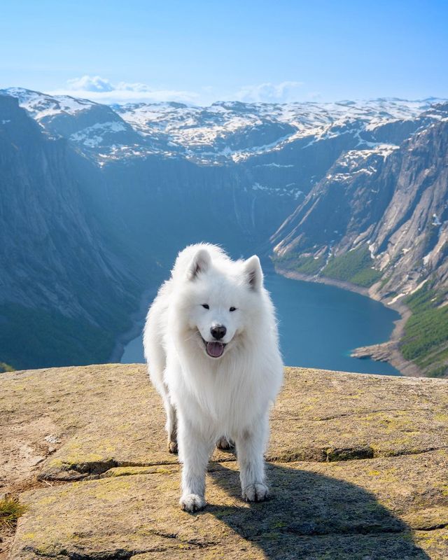 😁✨ Unleash Your Inner Explorer in Norway! Discover the Best Hiking Trails and Fjords 🏔️⛰️