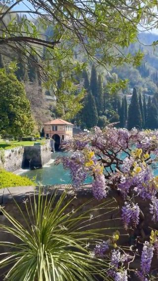 Wisteria Wonders: The Enchanting Beauty of @hotelvillacipressi in #Varenna 💜