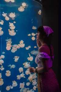 新加坡超浪漫海底世界！附情侣拍照攻略