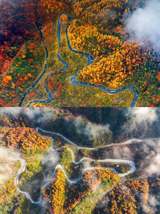 寶藏賞秋之旅紅色阿爾山拍照出片賞秋好去處