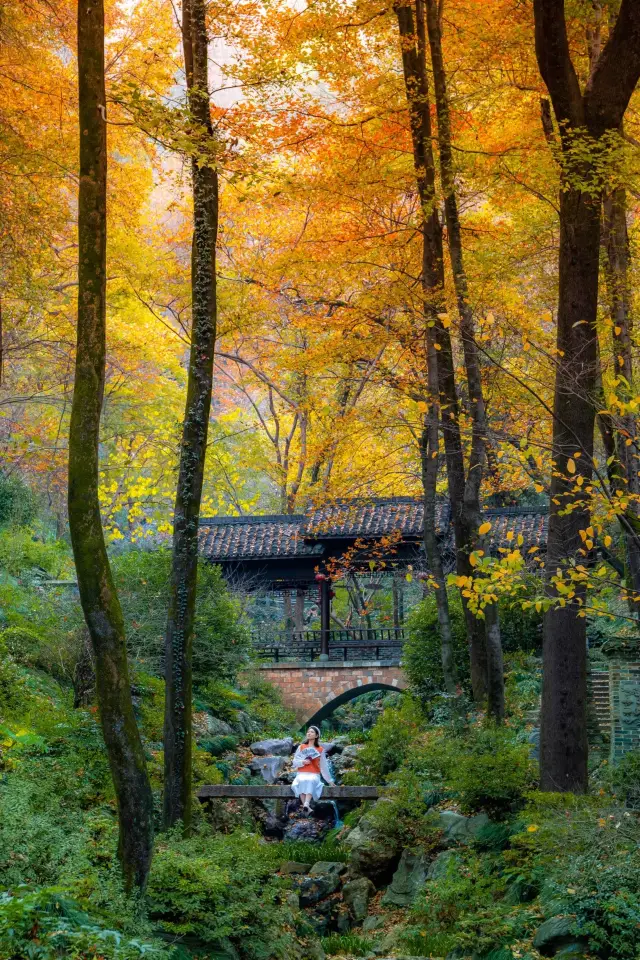 This underrated small town in southern Anhui is home to stunning autumn scenery