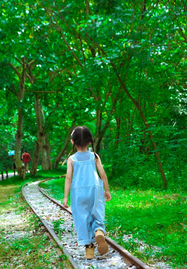 週末遛孩子來一場綠野湖邊的夢幻之旅