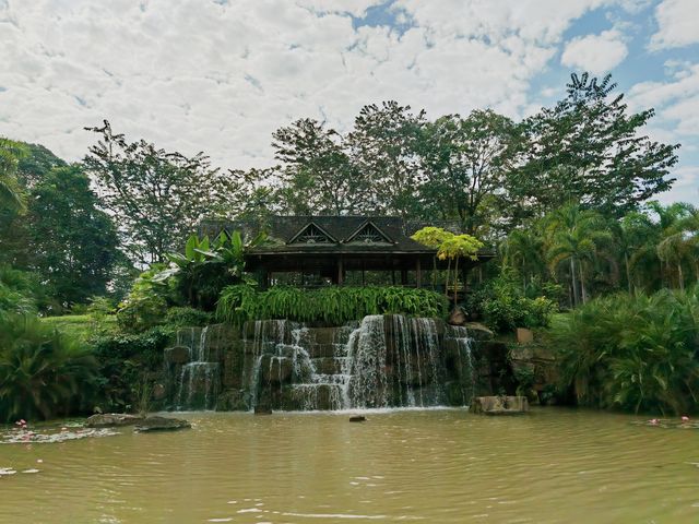 阿佤山探秘27：中科院植物園