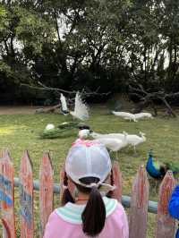 廣州長隆飛鳥樂園～什麼鳥都有