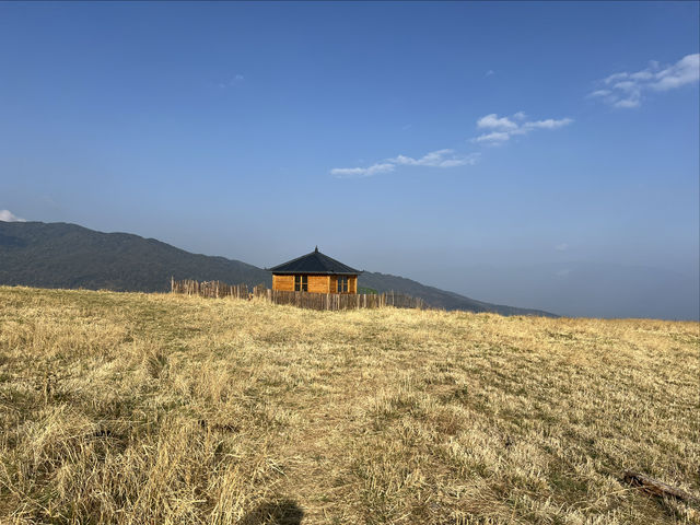 雲南臨倉市茫來草山