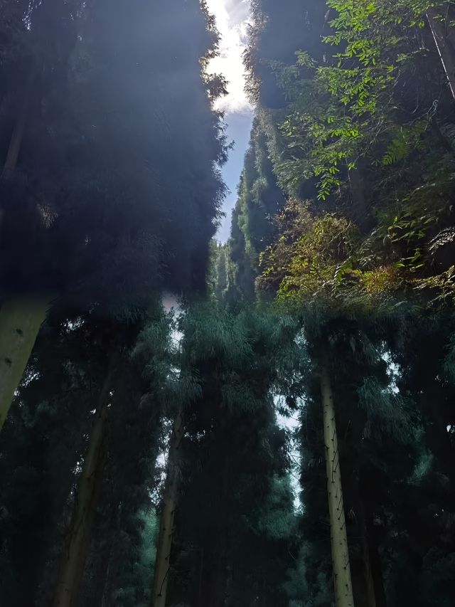 成都郊區週末徒步旅行拍照打卡的絕佳去處