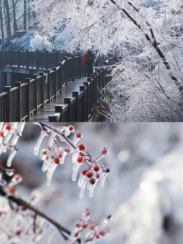 冬天下雪的雲蒙景區，堪稱浪漫旅行天花板