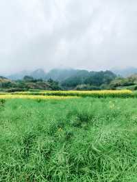 千島湖畔鰲山村，油菜花海金浪湧動