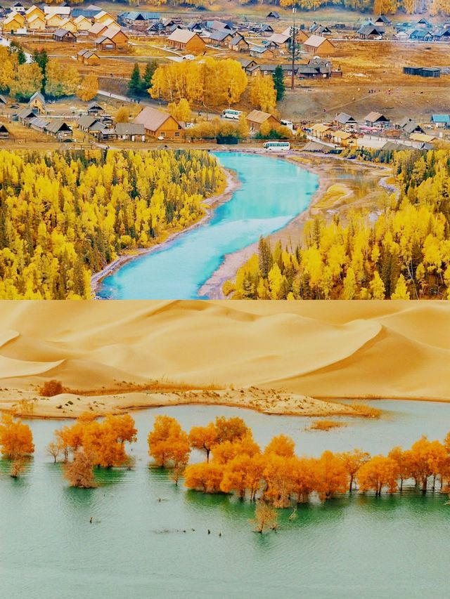 金秋北疆喀纳斯的秋天變成了童話世界