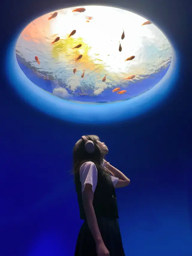 深圳海洋館|掉入 藍色夢境🫧