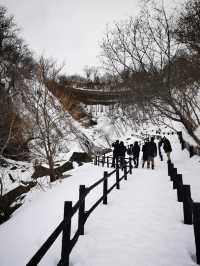 北海道知床半島的神秘瀑布