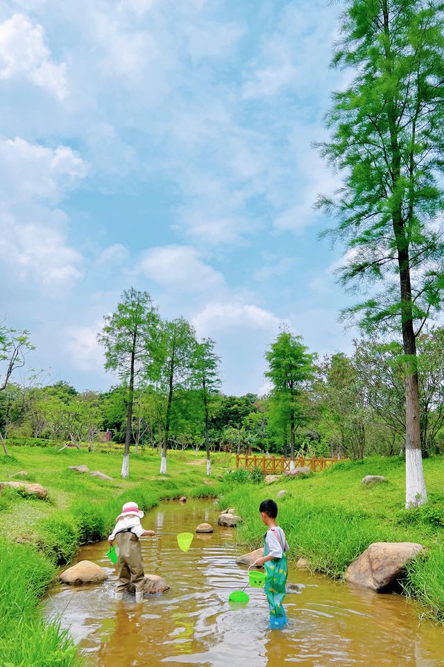 廣州小眾公園，一起來小溪邊野餐抓魚吧！