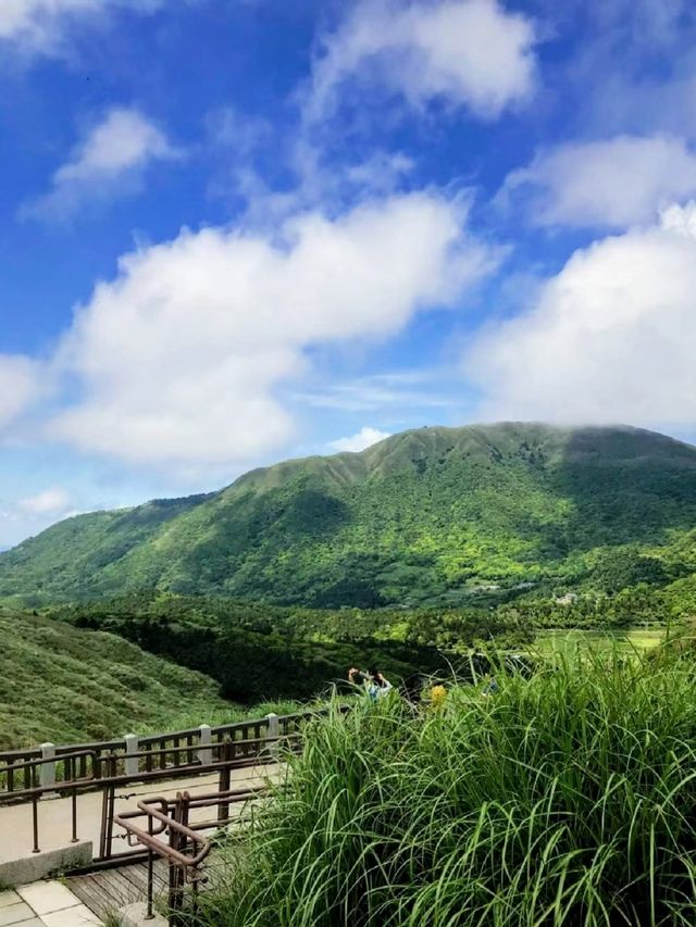 台灣徒步好去處陽明山擎天崗