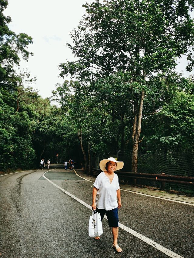 深圳白雲山