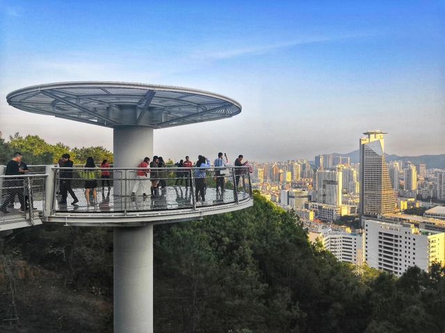 健康步道雲海線～狐尾山賞櫻