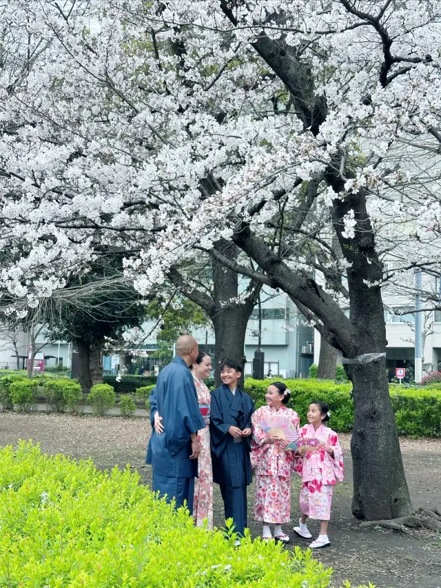 For cherry blossom viewing in Japan, I only recommend Ueno Park! If you miss it, you'll have to wait another year