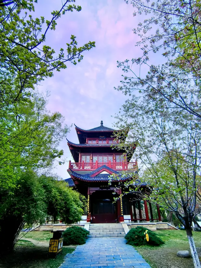 武漢賞花紀：堤角公園