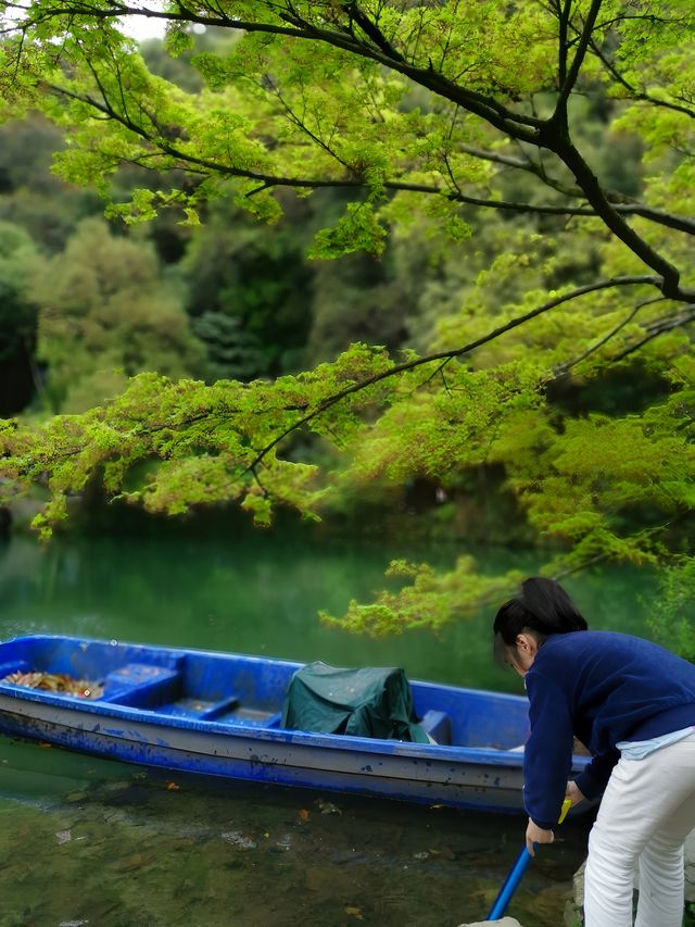 青山綠水育龍井，五雲山上尋五雲：九溪親子