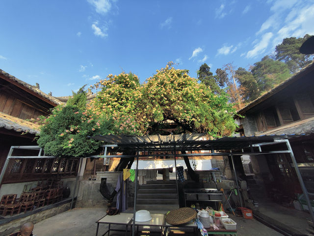 人生第一次（免費）夜宿古寺