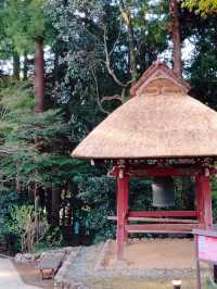探尋東京青梅市的歷史寶藏：鹽船觀音寺 🏯🌺
