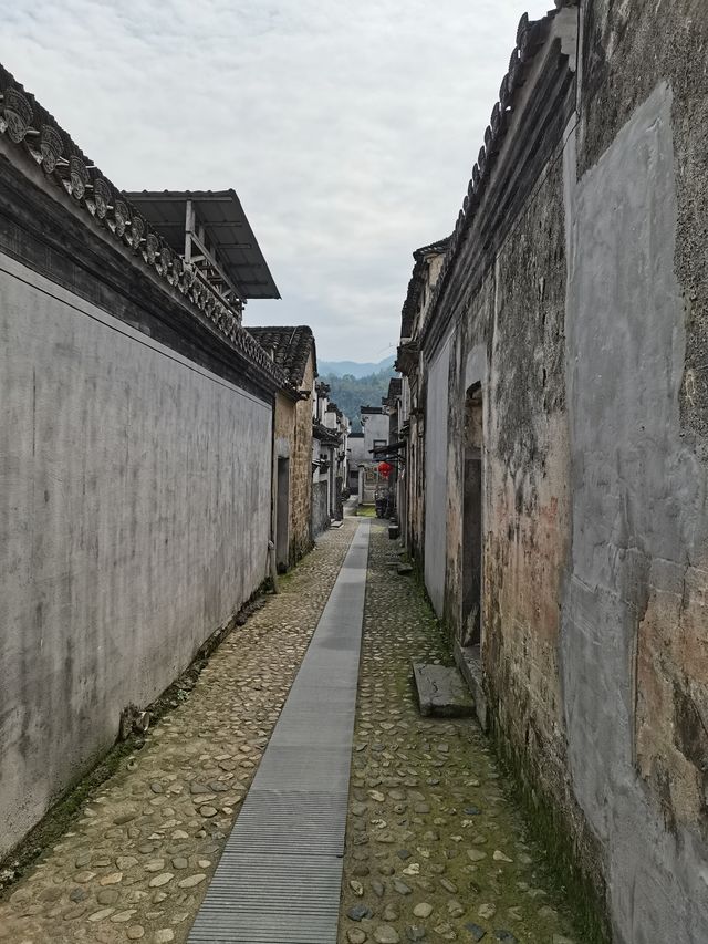 依依古村 千年仁里