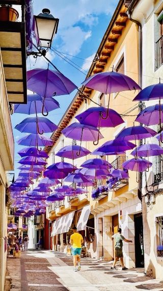 Purple Romance Brihuega Fragrant Dreamy Summer