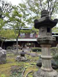 在東京代官山發現一處小眾秘境
