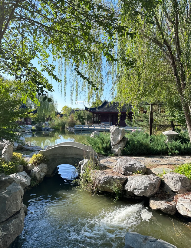 唐山植物園，主打一個人少景美，拍照聖地~