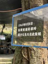 打卡南山另一條小眾步道 — 清水溪步道