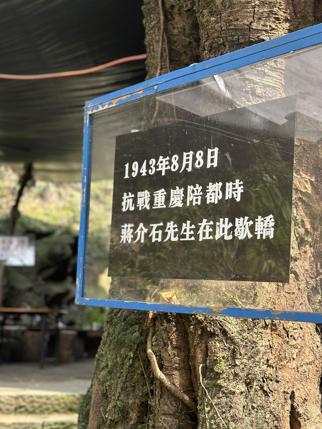 打卡南山另一條小眾步道 — 清水溪步道