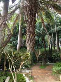 湛江徐闻公園遊記