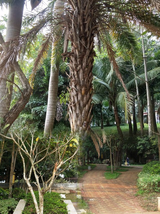 湛江徐闻公園遊記 湛江徐闻公園遊記