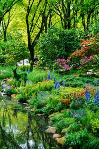 魔都最美的莫奈花園，闖入童話世界