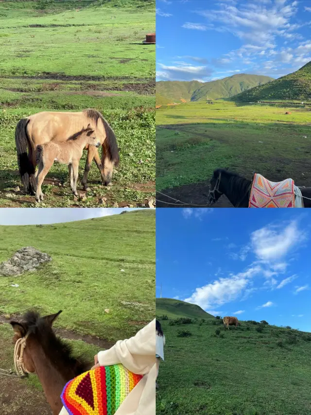 Liupanshui | The vast Umon Grassland