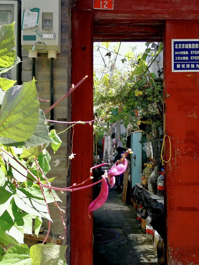 五一北京城市漫步·打卡超美的寶藏胡同