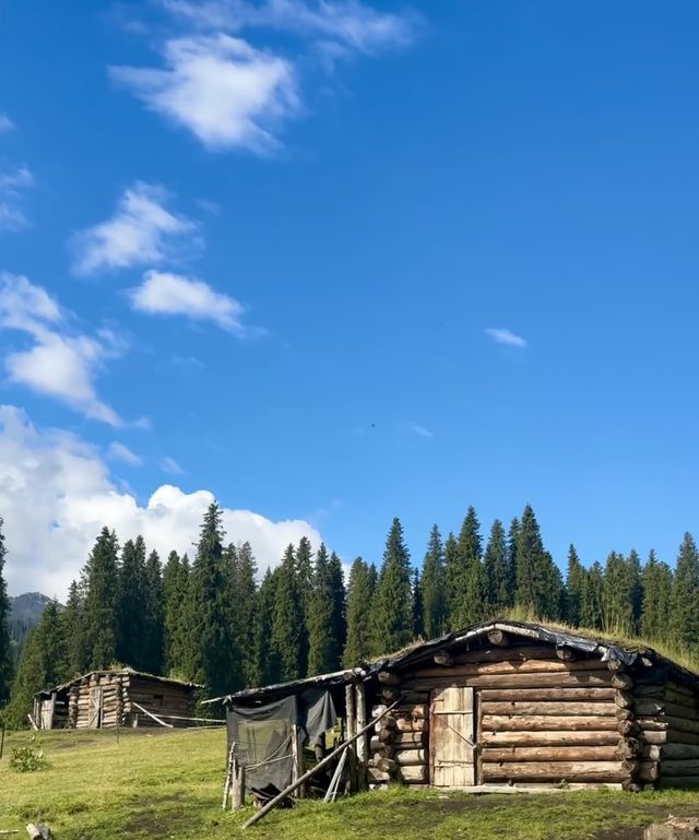 新疆| 海蒂和爷爷的同款小木屋