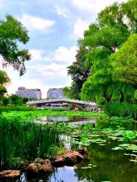 A Day in Zizhuyuan Park ☘️