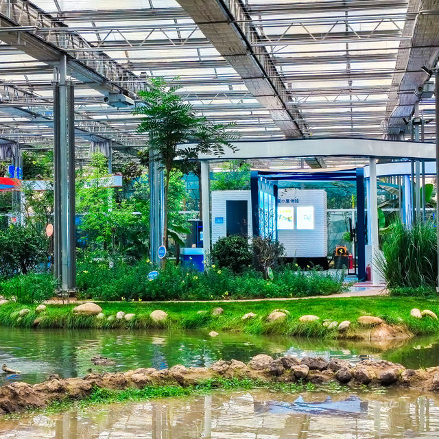 烏蘭察布小眾遛娃地 | 察右前旗現代農業產業園