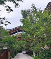太白山下的唐鎮，五步一景的免費景區