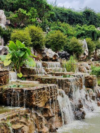 I just discovered that Gaozhou is a beautiful place to relax and take great photos