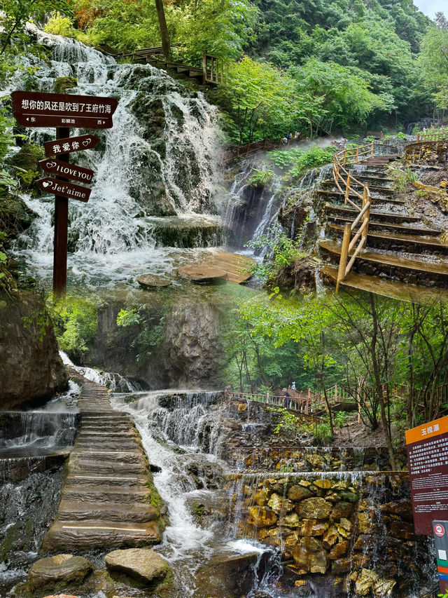 洛陽欒川·王府竹海｜天然氧吧｜放鬆心情