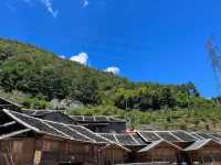 天然氧吧，避暑納涼：福安棕樹山