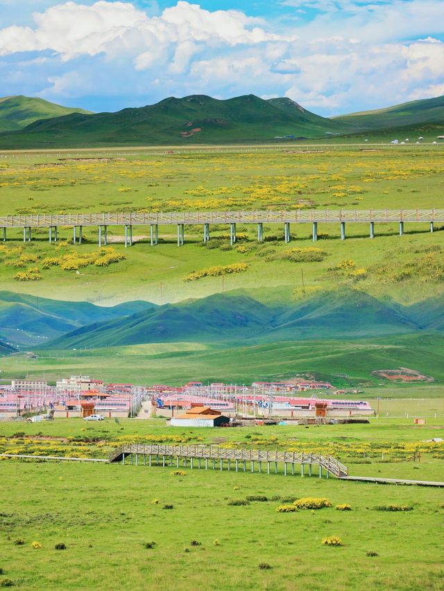 給第一次來甘南旅行的條建議