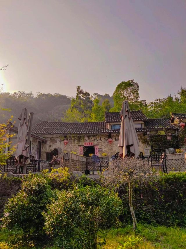你真的不想去這裡嗎？